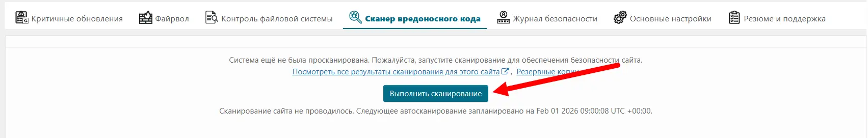 Запуск сканирования сайта Запуск сканирования сайта